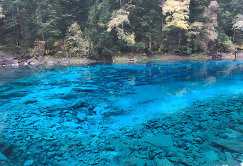 黄龙风景名胜区第 334 张图片