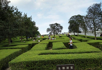 香港湿地公园第 40 张图片