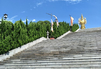 皇家马戏艺术无锡欢乐海洋世界嘉年华第 12 张图片