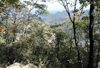 诗景龙潭峡第 25 张图片