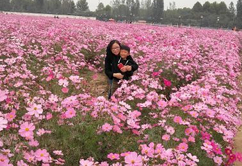 法莉兰童话王国第 39 张图片