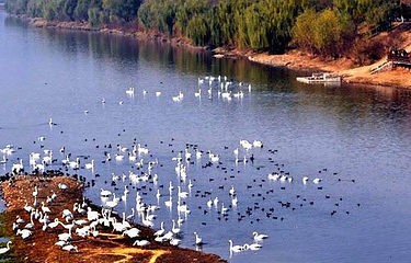 双龙湖湿地公园第 3 张图片
