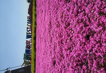 青岛西海岸生态观光园第 21 张图片