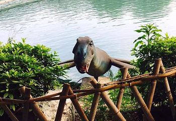 浏阳石牛寨风景区第 32 张图片