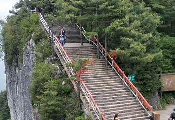 秦岭天竺山生态文化旅游景区第 72 张图片