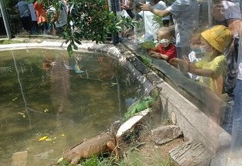 东莞植物园第 4 张图片