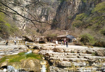 蟒河生态旅游区第 59 张图片