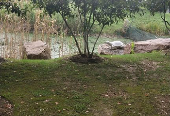 长江观音景区第 18 张图片