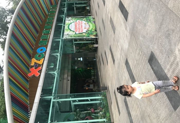 重庆海洋动物世界第 107 张图片