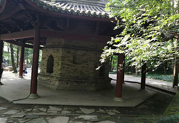 九峰公园第 21 张图片