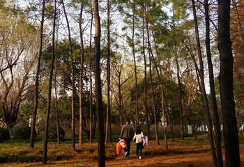 精彩上海旅游联票第 10 张图片