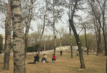 西沽公园第 9 张图片