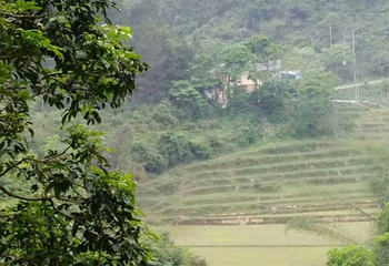 宁明花山温泉谷第 16 张图片