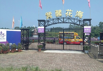 紫馨花海第 5 张图片