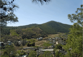 蓬壶百丈岩风景区第 27 张图片