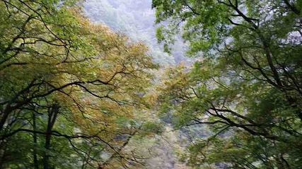 乾元山第 6 张图片