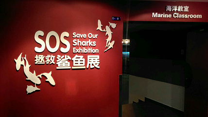 上海海洋水族馆第 215 张图片