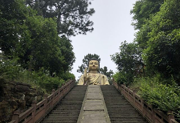 老峨山第 45 张图片