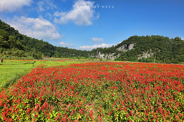花坝旅游度假区第 32 张图片
