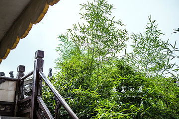 庙岛妈祖文化公园第 18 张图片