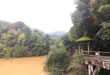 德庆盘龙峡生态旅游区第 38 张图片