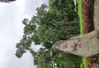 中缅国门第 13 张图片