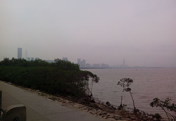 红树林海滨生态公园第 24 张图片