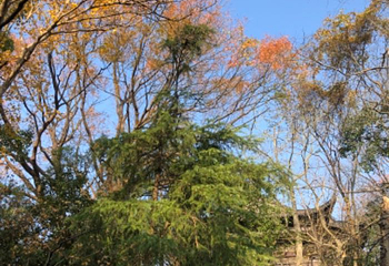 石钟山第 19 张图片