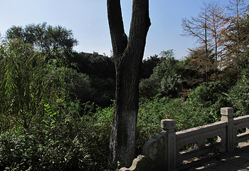 荆川公园第 6 张图片