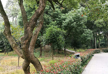 阿育王寺第 41 张图片