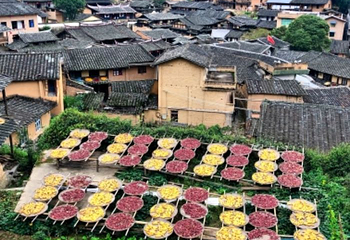 桂峰古村落景区第 23 张图片