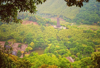 天童国家森林公园第 14 张图片