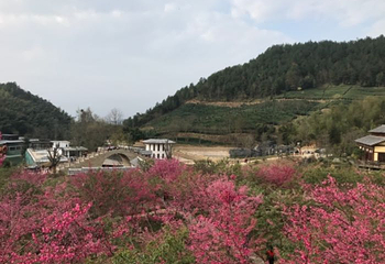 虔心小镇第 32 张图片