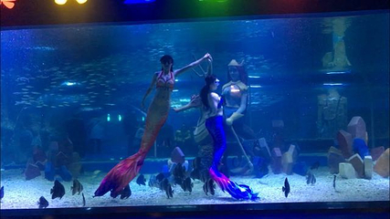 海昌海洋探索馆第 34 张图片