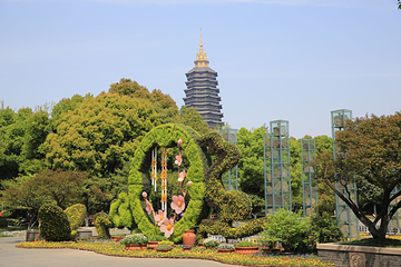 红梅公园第 26 张图片