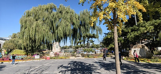 清华大学第 27 张图片