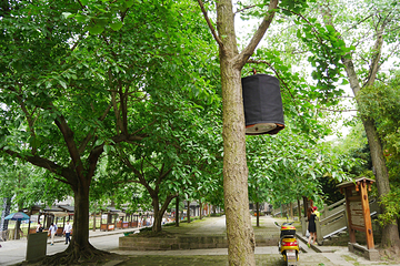 李庄文化旅游度假区第 68 张图片