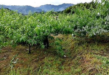 西溪磐石大峡谷第 12 张图片