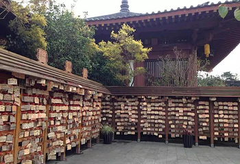 大华兴寺第 19 张图片