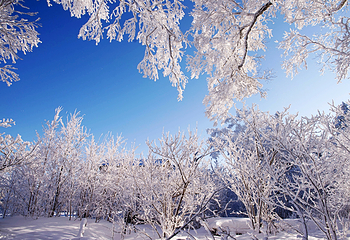 丝绸之路山地度假区滑雪场第 53 张图片