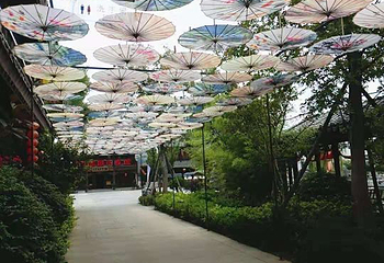 龙园旅游度假区第 64 张图片