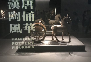 震旦博物馆第 36 张图片
