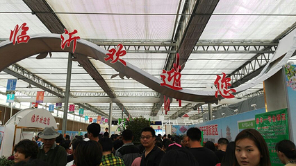 第六届山东花博会第 9 张图片