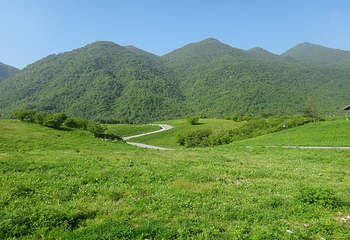 红池坝高山草场第 18 张图片