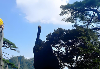 三清山风景区第 39 张图片