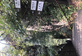 天目山自然保护区第 110 张图片