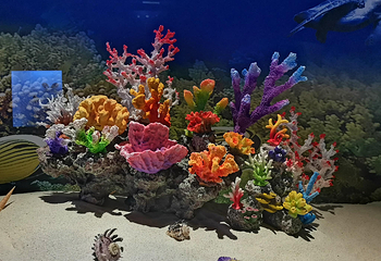 山东博物馆第 87 张图片
