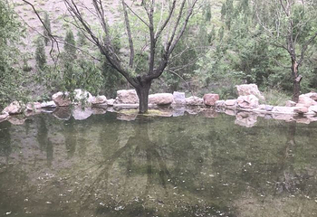 王官峪第 11 张图片