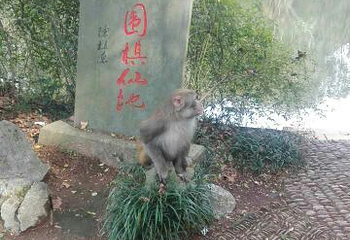 烂柯山第 9 张图片