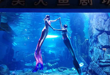 临沂海洋世界主题公园第 20 张图片